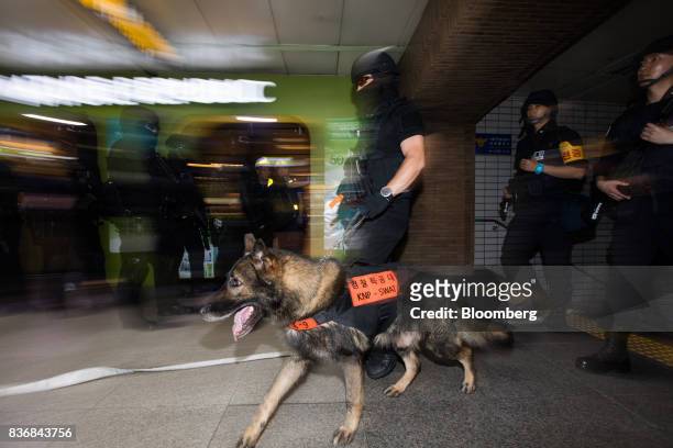 Police officers patrol with a security dog during an anti-terror drill on the sidelines of the Ulchi Freedom Guardian military exercises at a subway...