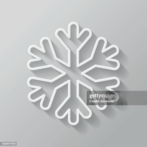 ilustraciones, imágenes clip art, dibujos animados e iconos de stock de delgada línea plana diseño fotografía icono - 3d snow