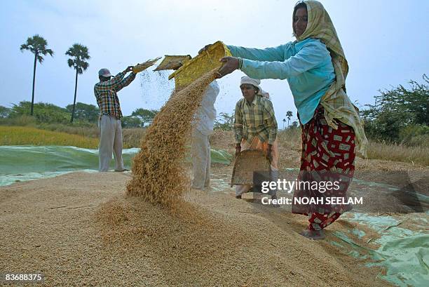 Seiving Rice 193 Sieving Rice Stock Photos, High-Res Pictures, and Images - Getty Images
