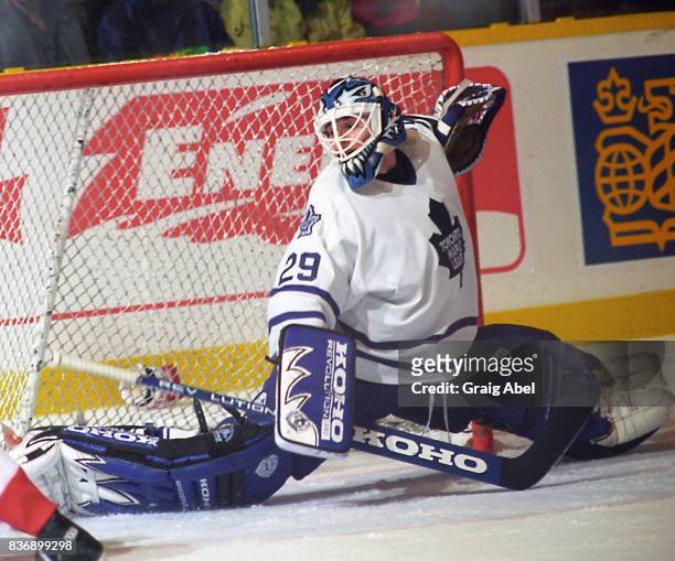 Felix Potvin of the Toronto Maple Leafs skates against the Calgary Flames during NHL game action on October 20, 1995 at Maple Leaf Gardens in...