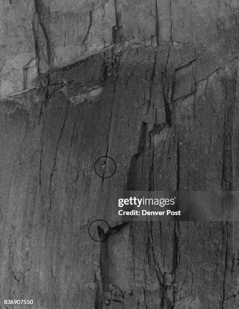 Dave Rearick 45 Aug 27 1960 Stock Photos, High-Res Pictures, and Images - Getty Images