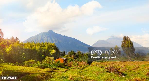 virunga mountains and volcanoes in rwanda - rwanda stock pictures, royalty-free photos & images