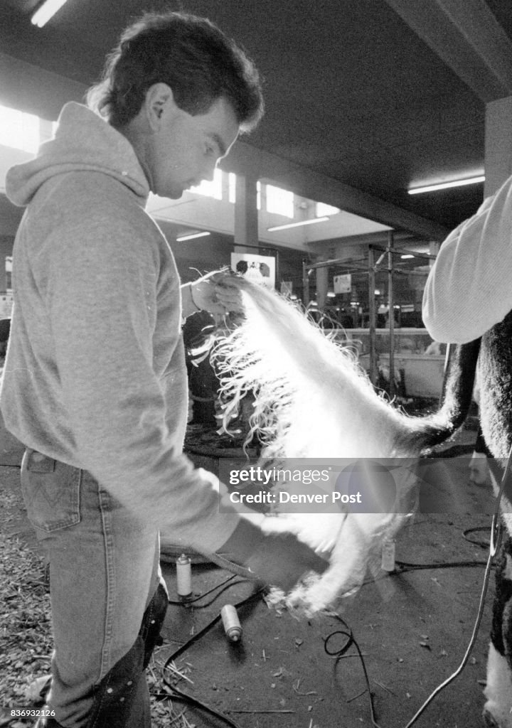 Denver Post Archives