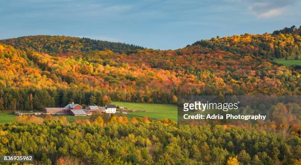 fall colors in vermont - vermont stock pictures, royalty-free photos & images