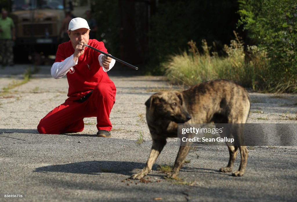 The Stray Dogs Of Chernobyl