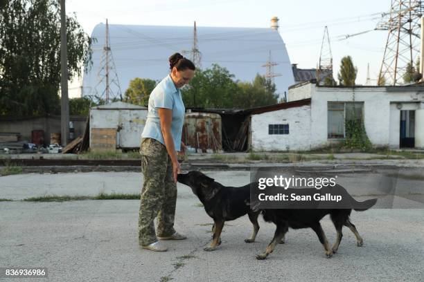 Anna Vlasinko greets two stray dogs she has named Alfa and Zuzka at the security post where she works opposite the new, giant enclosure built over...