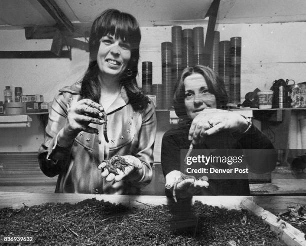 Loria Parker Lori Parker Photos and Premium High Res Pictures - Getty Images