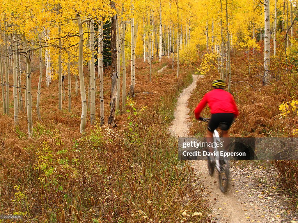 Man mountain biking in fall season