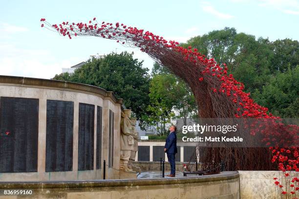 Man looks at the poppy sculpture 'Wave' as it opens at the CWGC Naval Memorial as part of a UK wide tour organised by 14-18 NOW on August 22, 2017 in...