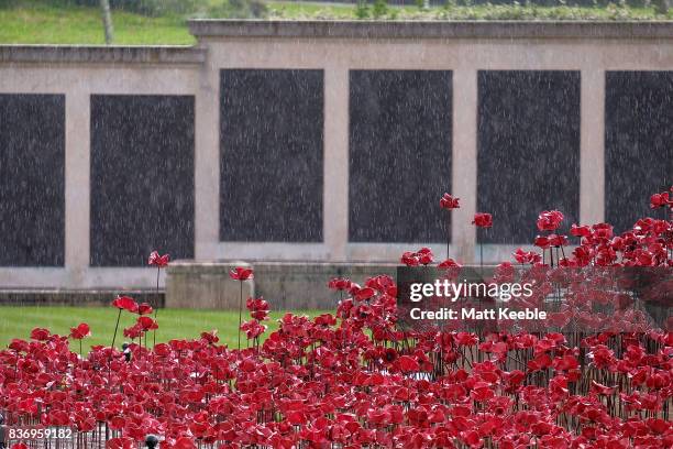 General view of the poppy sculpture 'Wave' as it opens at the CWGC Naval Memorial as part of a UK wide tour organised by 14-18 NOW on August 22, 2017...