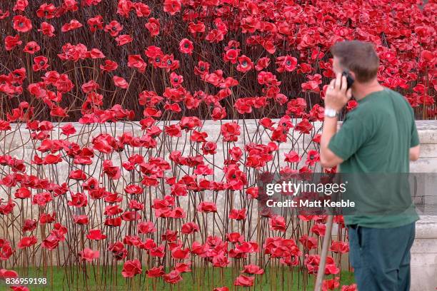 Man looks at the poppy sculpture 'Wave' as it opens at the CWGC Naval Memorial as part of a UK wide tour organised by 14-18 NOW on August 22, 2017 in...
