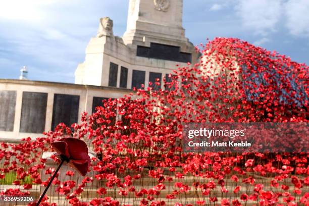 General view of the poppy sculpture 'Wave' as it opens at the CWGC Naval Memorial as part of a UK wide tour organised by 14-18 NOW on August 22, 2017...