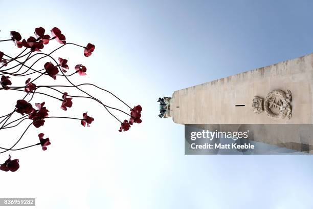 General view of the poppy sculpture 'Wave' as it opens at the CWGC Naval Memorial as part of a UK wide tour organised by 14-18 NOW on August 22, 2017...