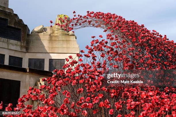 General view of the poppy sculpture 'Wave' as it opens at the CWGC Naval Memorial as part of a UK wide tour organised by 14-18 NOW on August 22, 2017...