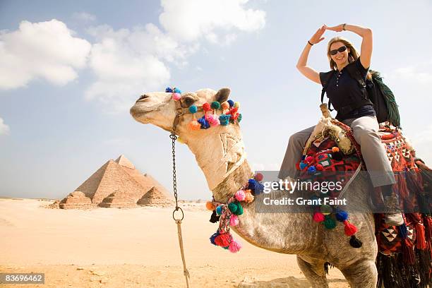 female tourists making pyramid shape with arms sit - camel fotografías e imágenes de stock