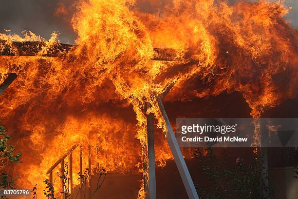 Large flames are blown from a burning mobile homes by strong wind as most of the homes in the Oakridge mobile home park, which reportedly has 600-800...