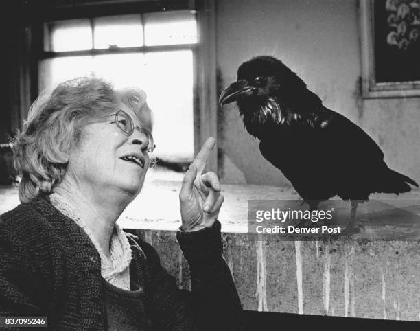 Catherine Hurlbutt local hero who takes care of birds she lives at 1910 So Marion St. This is Edgar the Raven named after Edgar Allen Poe from his...