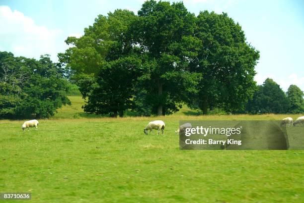 General view of the Althorp home of Princess Diana of Wales on July 28, 2008 in Althorp, Northampton, England.