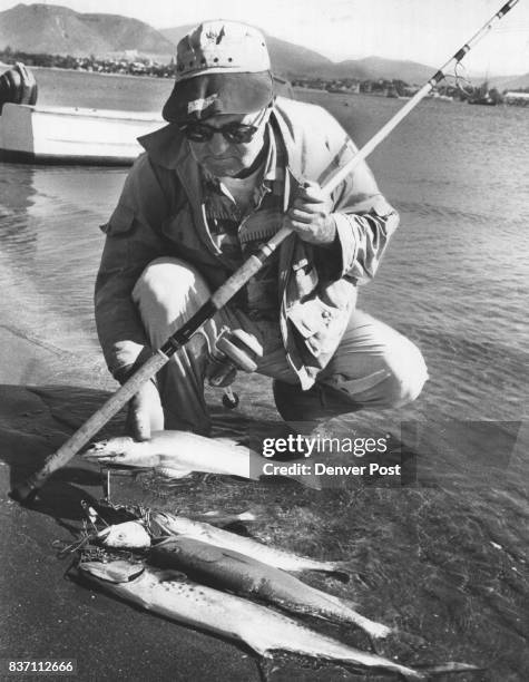 Rover" Inspects Catch Jim Haywood, the Denver Post Roving Fisherman, looks over string of sea trout and one Sierra Mackerel taken in surf of Mogote...