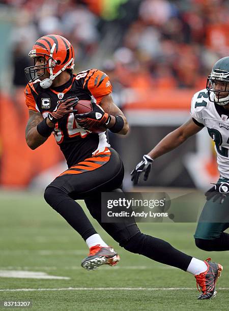 Houshmandzadeh of the Cincinnati Bengals catches a pass during the NFL game against the Philadelphia Eagles at Paul Brown Stadium on November 16,...