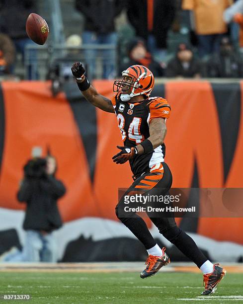 Wide receiver T.J. Houshmandzadeh of the Cincinnati Bengals tries to catch the ball during the game against the Philadelphia Eagles on November 16,...