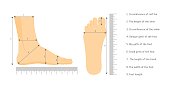 Square Measure Human Feet Shoe Size. Vector