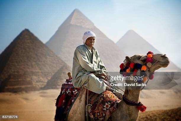 man on camel - pyramid egypt stock pictures, royalty-free photos & images