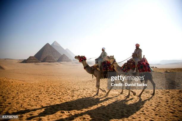 men on camels - pyramide stock pictures, royalty-free photos & images