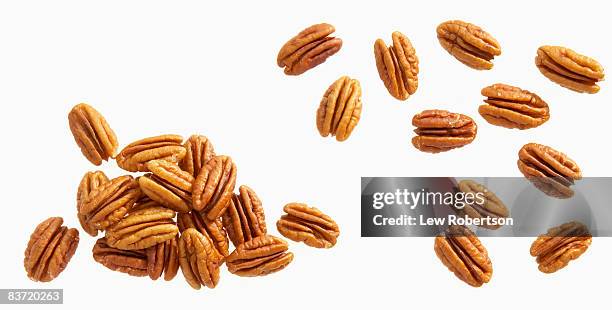 pecans on white - pecan nut stock pictures, royalty-free photos & images