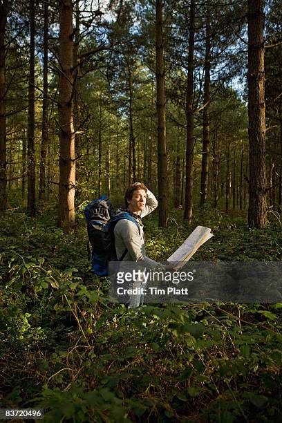 man with backpack lost in a forest. - desorientiert stock-fotos und bilder