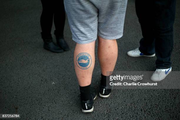 Brighton and Hove Albion tattoo is seen on a fan prior to the Carabao Cup Second Round match between Brighton & Hove Albion and Barnet at Amex...