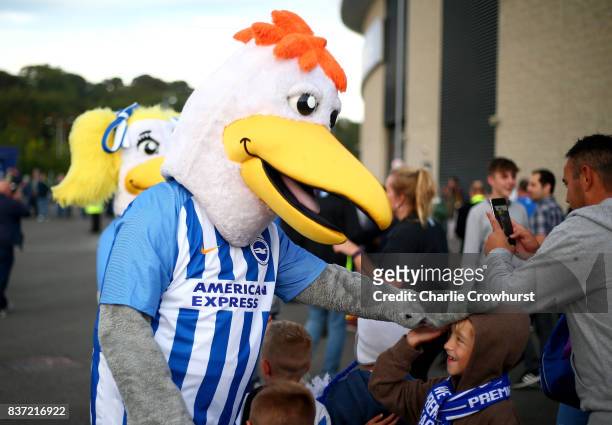Brighton and Hove Albion fan interacts with the Brighton and Hove Albion mascot outside the stadium prior to the Carabao Cup Second Round match...