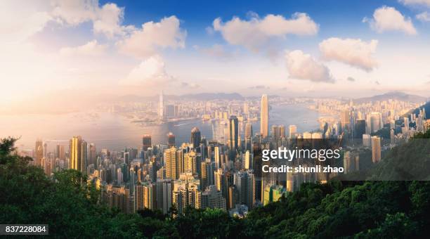 panoramic skyline and cityscape of city hongkong
