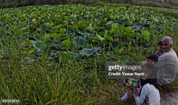 An elderly Kashmiri man rest with his grand children near the floating lotus garden in Dal lake on August 22, 2017 in Srinagar, the summer capital of...