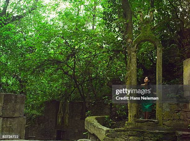 woman looking through stone archway in jungle - ヒリトラ ストックフォトと画像