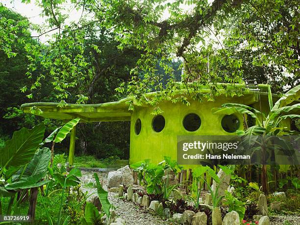 eco friendly house and garden - xilitla stock pictures, royalty-free photos & images