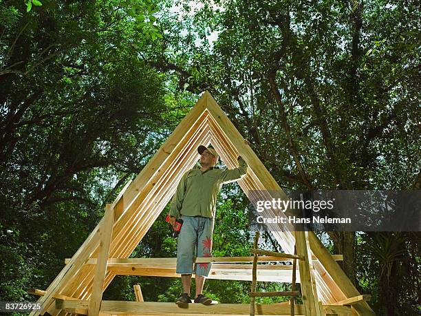 man standing on frame of house in forest - architettura ecologica foto e immagini stock