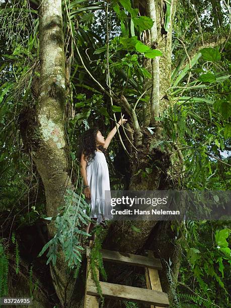 young girl climbing tree, pointing up - ヒリトラ ストックフォトと画像