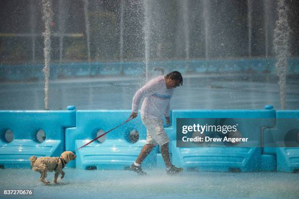 Man walks his dog through the fountains at Flushing Meadows-Corona Park, August 22, 2017 in the Queens borough of New York City. With heat index...