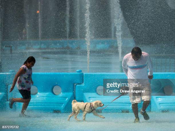 Man walks his dog through the fountains at Flushing Meadows-Corona Park, August 22, 2017 in the Queens borough of New York City. With heat index...