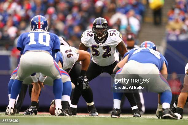 Ray Lewis of the Baltimore Ravens reacts to Eli Manning of The New York Giants during their game on November 16, 2008 at Giants Stadium in East...