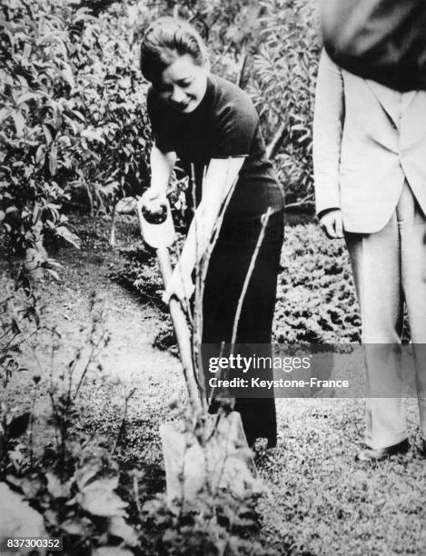 Madame Tchang Kaï-chek plantant un pêcher californien offert par l'actrice Luise Rainer, en Chine le 29 mai 1937.