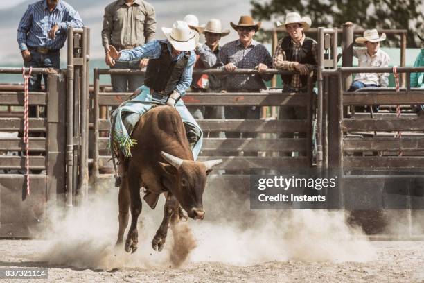een jonge cowboy in actie tijdens het bareback rijden op een bucking stier terwijl een groep cowboys kijken hem op de achtergrond. - rodeo stockfoto's en -beelden
