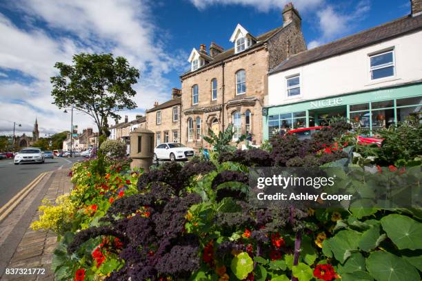 a flower bed on the main street in barnard castle, county durham, uk. - barnard castle stock pictures, royalty-free photos & images