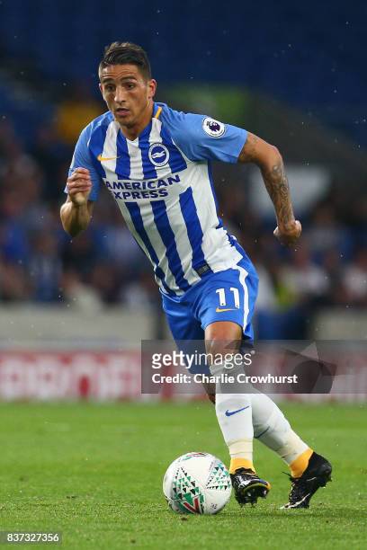 Anthony Knockaert of Brighton and Hove Albion in action during the Carabao Cup Second Round match between Brighton & Hove Albion and Barnet at Amex...