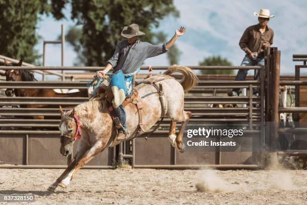 während ein rodeo blick auf ein cowboy sattel bronc reiten auf einem ruckeln pferd. - bucking horse stock-fotos und bilder