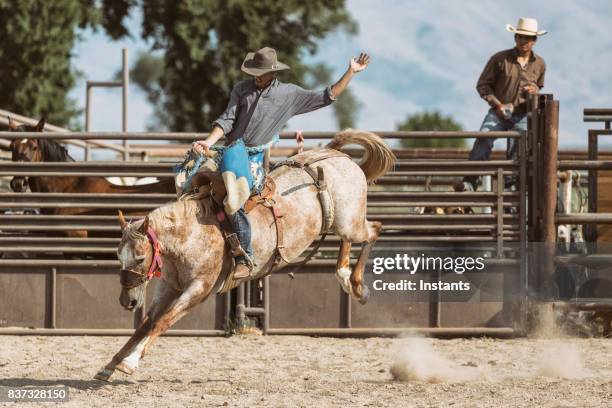 tijdens een rodeo, bekijken van een cowboy zadel bronc rijden op een bucking paard. - rodeo stockfoto's en -beelden