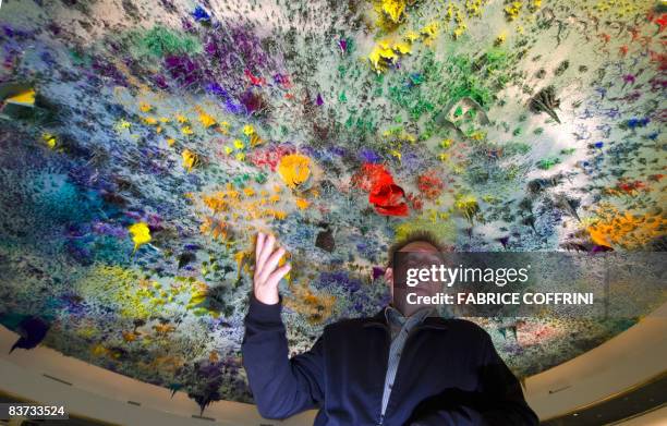 Spanish artist Miquel Barcelo poses inside Room XX on November 17, 2008 at the United Nations offices in Geneva. Top contemporary Spanish artist...