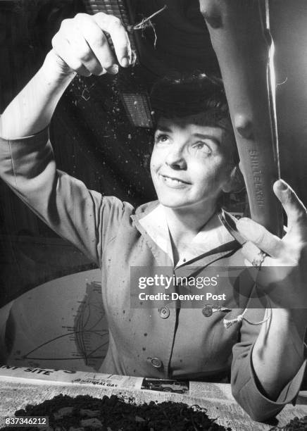 Linda Renn 16 Linda Renner Stock Photos, High-Res Pictures, and Images - Getty Images