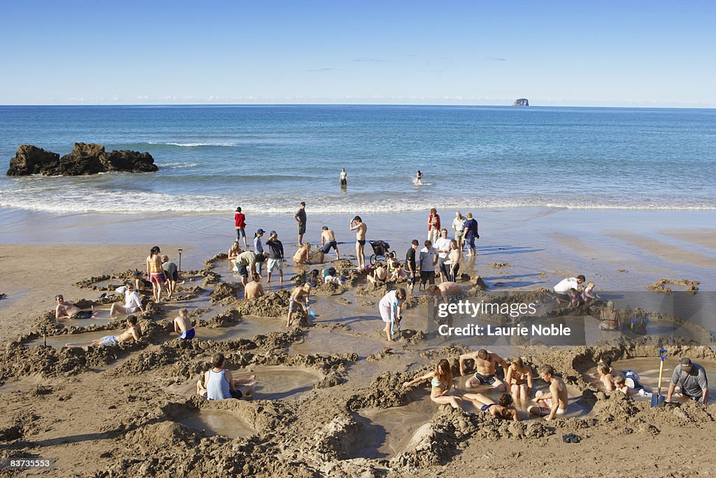 People digging pools on Hot Water Beach.
